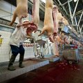 Работники Раквереского мясокомбината планируют новую забастовку