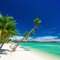Eksootilised sihtkohad on taas kättesaadavad. Fidži avas piirid turistidele, sama plaanivad teha ka Filipiinid ja Uus-Meremaa