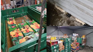 ФОТО | Читатель RusDelfi: на складе Maxima повсюду крысиные фекалии и мышеловки