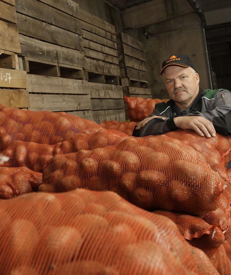 Gustav Põldmaa ütleb, et enamiku sortide seemnekartulist ei tohiks niipea puudust tulla.