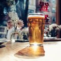 PRUULIKOOL | Kuidas valmistatakse alkoholivaba õlut?