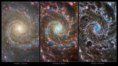 M74