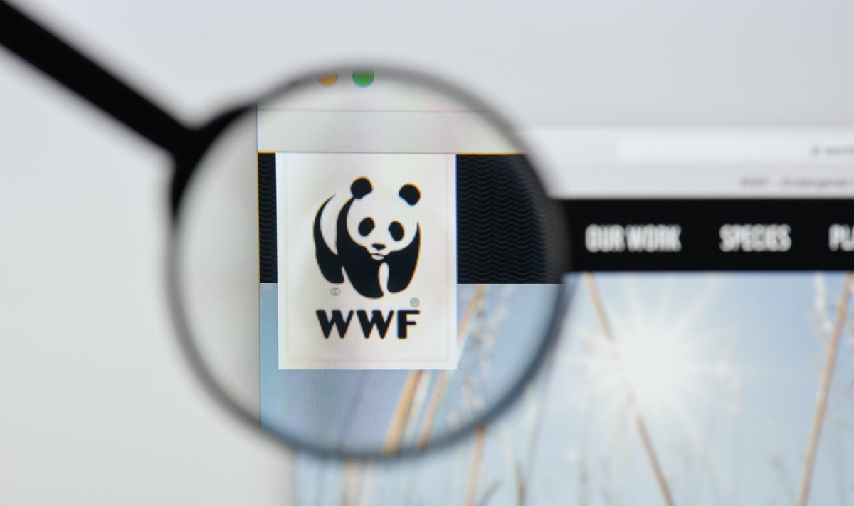 Логотип Всемирного фонда природы