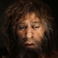 Seks neandertallasega rikkus inimese keha ära