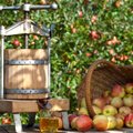 Kuidas teha ja säilitada õunamahla, põhjalik ülevaade erinevatest võimalustest