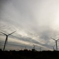 JUHTKIRI | Valitsuse tühi jutt tuuleenergeetikast