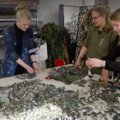 FOTOD JA VIDEO | Eesti moetegelased toodavad Ukraina heaks nii patju kui kamuflaažvõrke: pommitatakse ju valimatult kõike