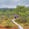 Путешествие по Эстонии: отправляемся в осенний поход по тропам RMK