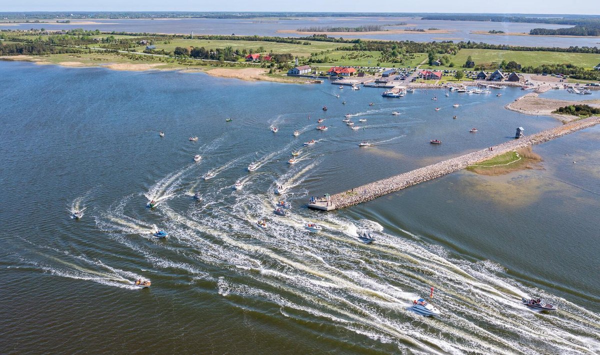 Tuulekala festival
