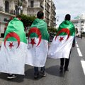Выборы президента Алжира могут могут перенести: кандидаты не подали документы