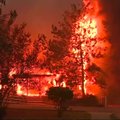 ВИДЕО: Не менее девяти человек погибли в результате самого разрушительного лесного пожара в истории Калифорнии