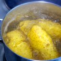 Kevadel tuleb kartulid panna keema külma veega. Kas tead, miks?