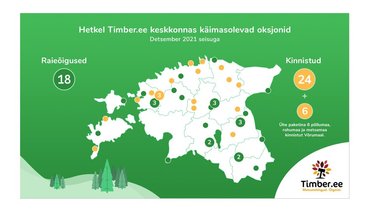 Timber.ee oksjonikeskkonnas on kokku 3,3 miljoni eurose alghinnaga pakkumisel kolm kinnistutepaketti – kokku 35 metsakinnistut, 360 hektarit