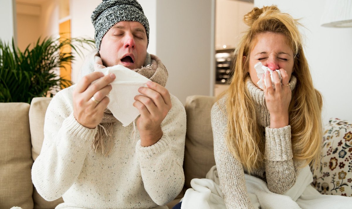 „Kindlasti tasub enne lähedastega ühise jõululaua taha istumist ka väiksemate sümptomite korral teha gripi ja Covidi kolmiktest, et olla kindel, et külla minnes ei viida kaasa ka ebameeldivat viirust.“