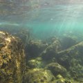 ФОТО: Загадочный подводный мир глазами австралийских дайверов
