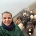 LIHTNE ELU | Tallinna tüdrukud karjatavad Austria mägedes lambaid ja viskavad laudas sõnnikut