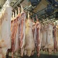 VIDEO: Eesti põllumehed panid seljad kokku ja asutasid oma lihatööstuse