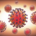 Все, что нужно знать: 80 фактов о коронавирусе