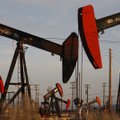 Цены на нефть поднялись до семилетнего максимума