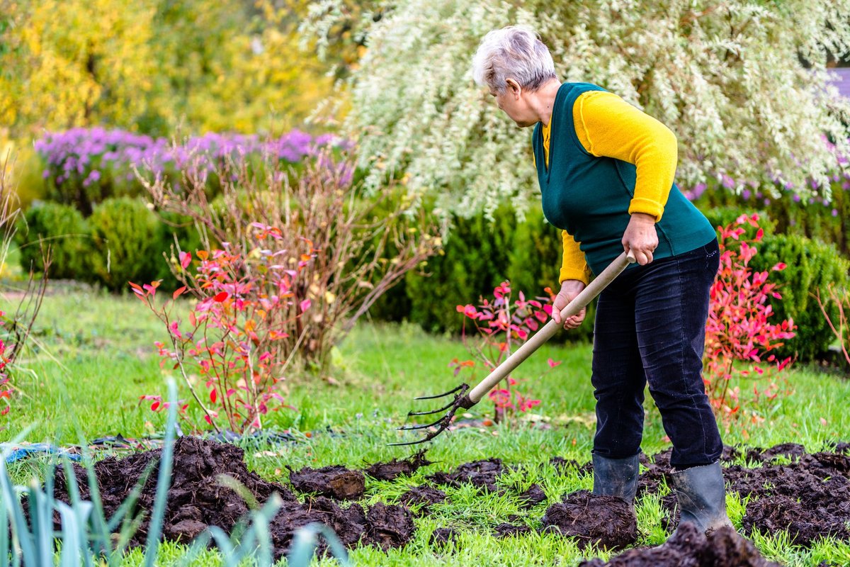 Gardener work in Garden