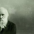 Darwini „Inimese põlvnemine“ ilmus nüüd eesti keeles, poolteist sajandit hiljem