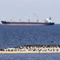 Eesti peseb maailma jaoks Vene laevakütust