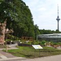 Tallinna Botaanikaaed avab laupäeval suvehooaja