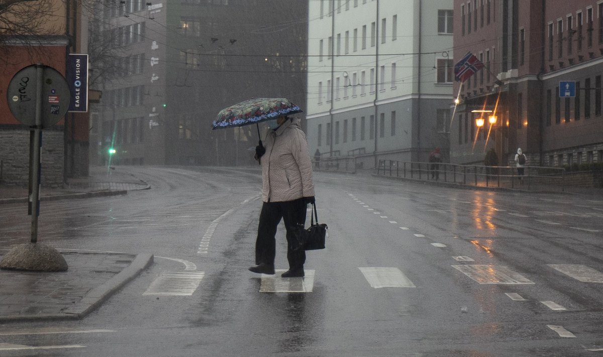 Vihmane keskpäev Tallinnas.