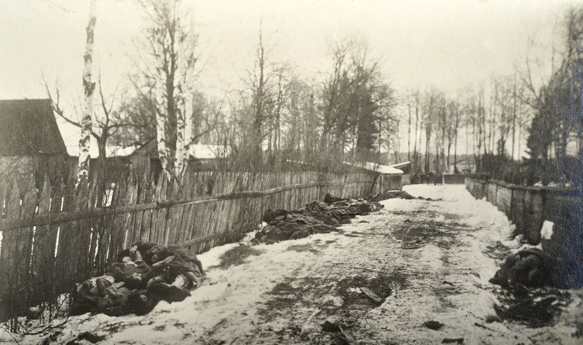 TÜÜFUSE LÕIKUS: Loodearmee sõdurite laibad Narva eeslinnas 1919 lõpul.