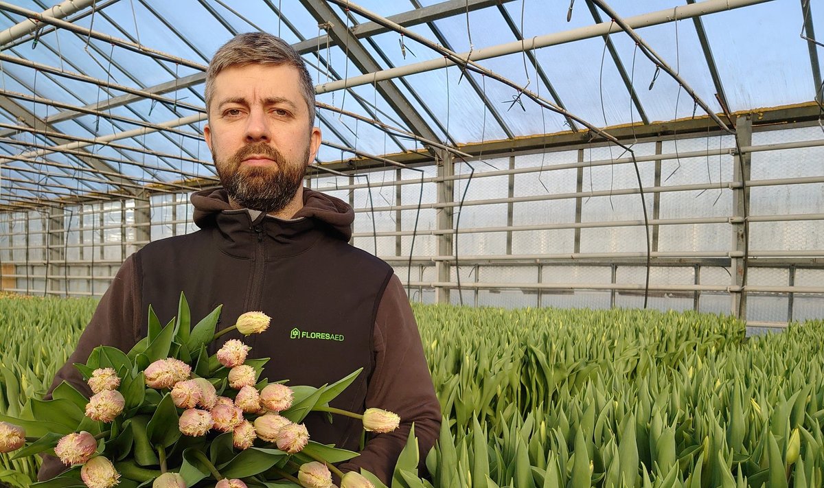 Исполнительный директор OÜ Flores Aed Пеэп Промм.