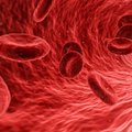 Kas kunstlikud verelibled on looduslikest võimekamad?
