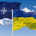 NYT: 20 стран НАТО исчерпали ресурс по отправке оружия в Украину