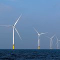 Eesti ja Läti ühine meretuulepargi arendamise projekt sai tuule tiibadesse