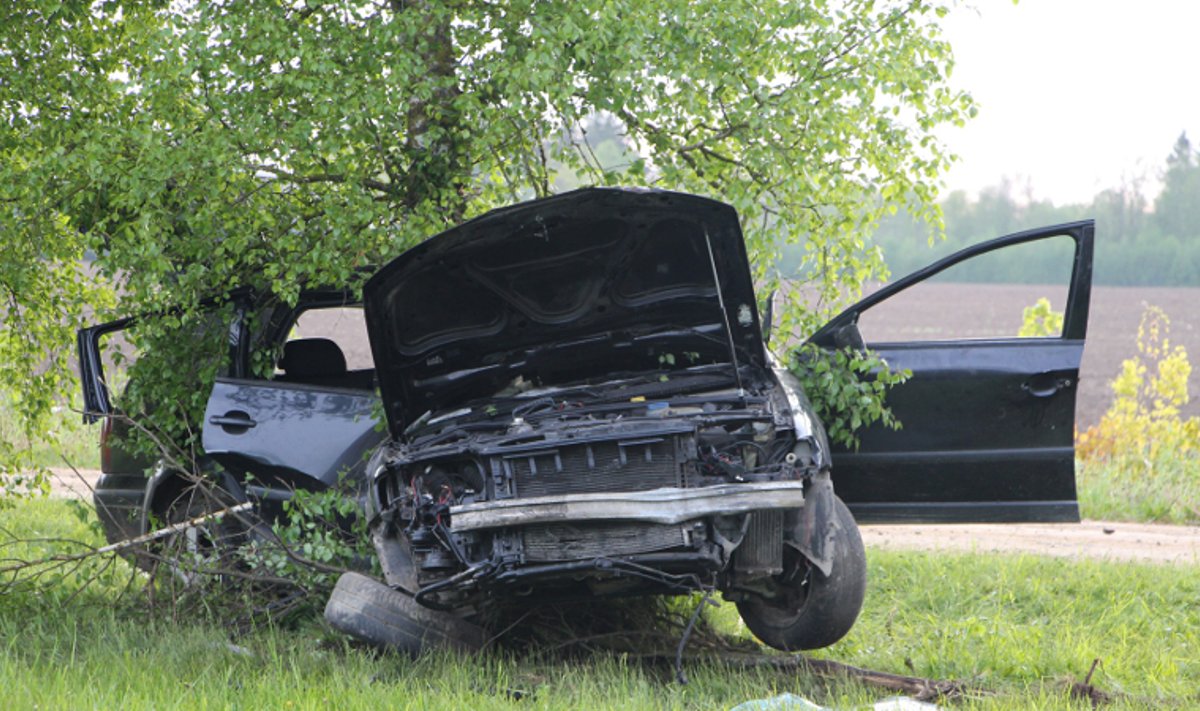 FOTOD SÜNDMUSKOHALT: Vastu puud kihutanud autos sai viga kaks noort meest -  Delfi