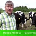 Aasta Põllumee 2015 kandidaat Meelis Mändla