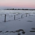 FOTOD: Narva jõe jäine vesi tõusis ligi 2,5 meetrit, ujutas põllu üle ja piiras tee sisse