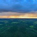Залогом 100-миллионных гарантий Банка Эстонии должен был стать государственный лес