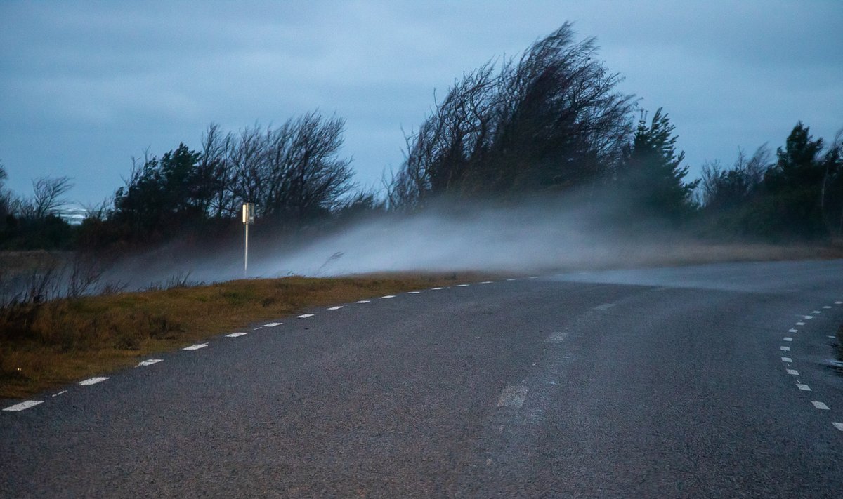 Torm Saaremaal, detsember 2019Mahalangenud puuoksad, tuule kiirus Sõrves 28,8 m/s, murdunud puud teel.