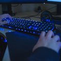 В ходе кибератак на государственные инфосистемы хакеры завладели данными тысяч жителей Эстонии