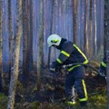 Päästeameti peadirektor: kui öeldakse, et metsas ei tohi tuld teha, siis ärge päriselt tehkegi