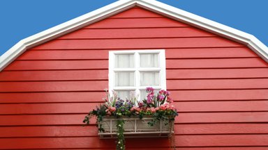 Kümme olulist asja, mida tasuks teada, kui hakkad maja värvima