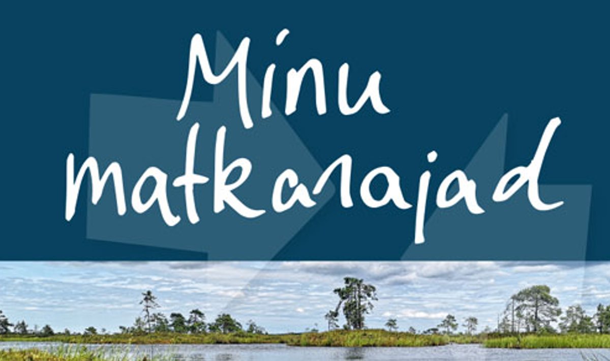 Raamatu kaanepilt