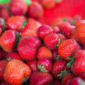 Austraalias alustati juurdlust maasikatesse peidetud nõelte kohta
