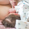 Pelgulinna sünnitusmaja, ITK Naistekliinik ja Pärnu Haigla tunnistati beebisõbralikeks haiglateks