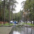 ГЛАВНОЕ ЗА ДЕНЬ: Штормовое предупреждение по всей Эстонии и дорожные аварии в Таллинне