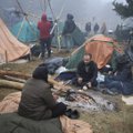 Миграционный кризис на границе Беларуси: польские пограничники стреляют в воздух, Лукашенко грозит перекрыть газ