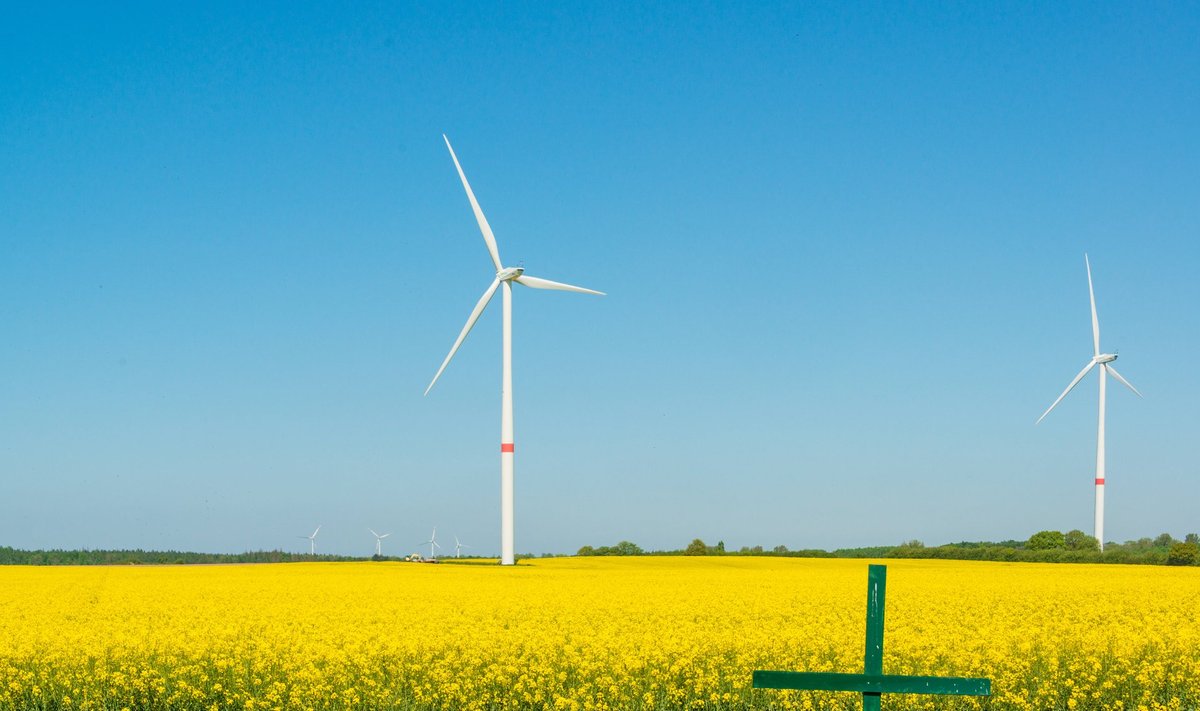 Tuuleenergia