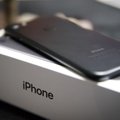 Apple скоро начнет выпускать бюджетный iPhone