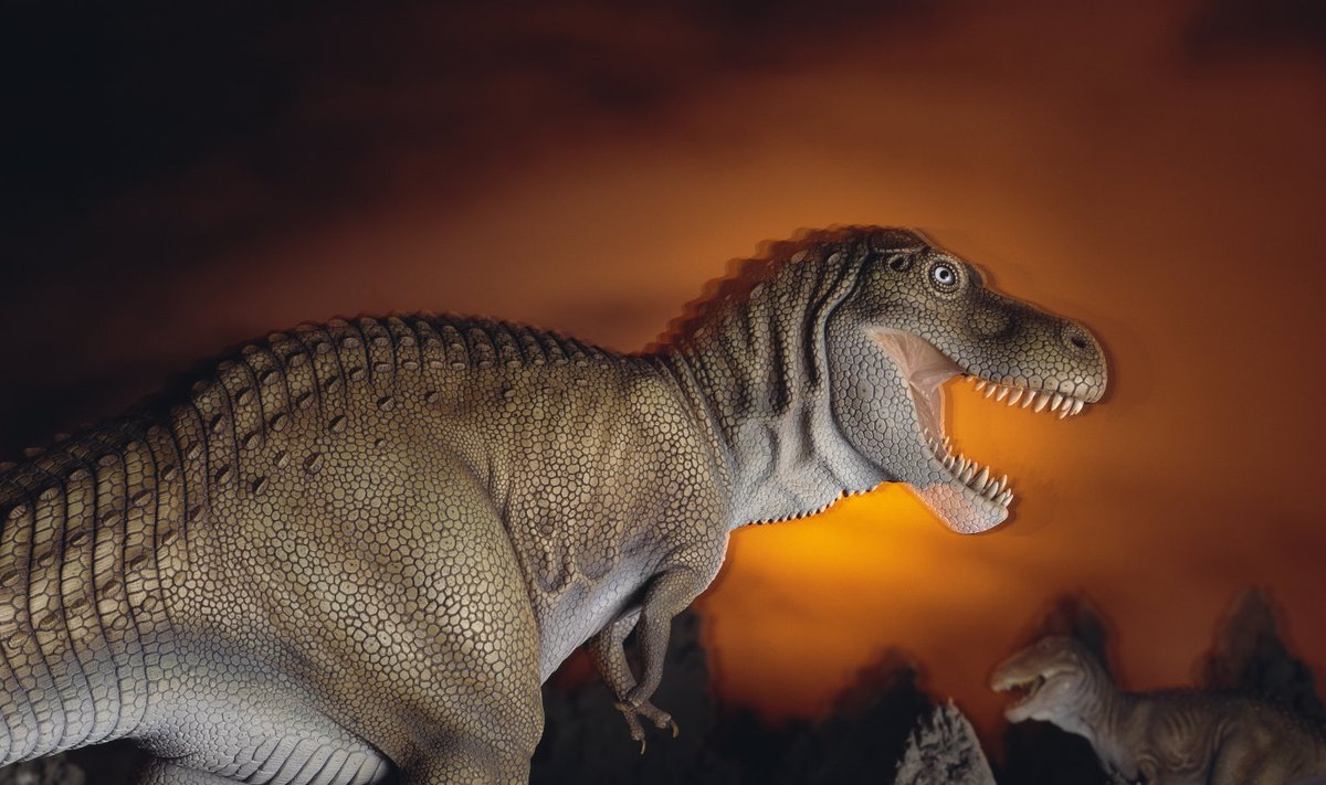 Türannosaurus Rex