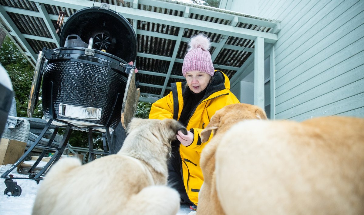 Ylle Tampere ütleb muigega, et koerad limpsivad taldrikud puhtaks. Ka see on kokkuhoiukoht.